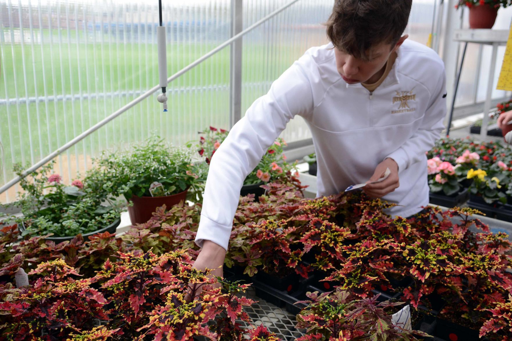 Baraboo High School students prepare for annual plant sale